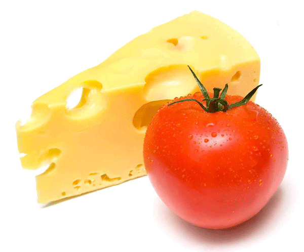 CheeseAndTomato.com - Norwich Web Designers